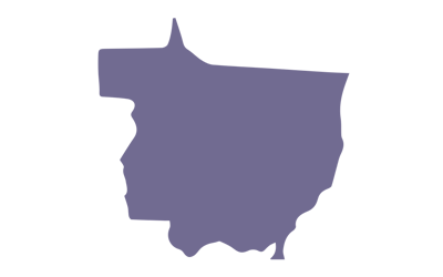 Leia mais sobre o artigo MATO GROSSO